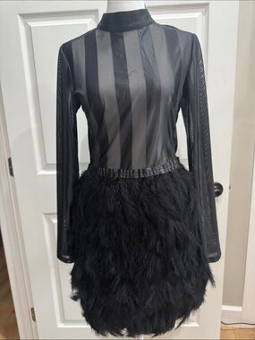 Sheer Stripe Bodice Feather Mini Dress - Black